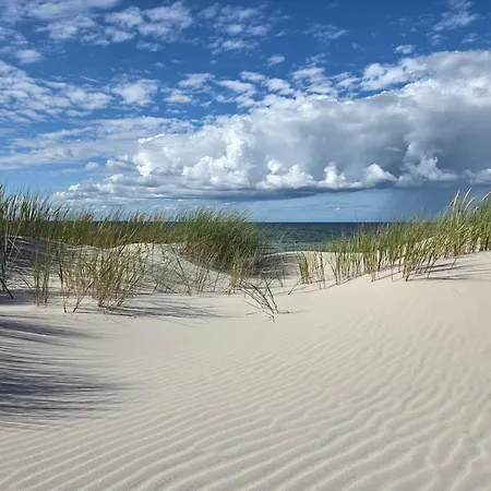 Nova - Dom Nad Morzem, Podgrzewany Basen,sauna, Balia Z Jacuzzi , Starlink * Ulinia