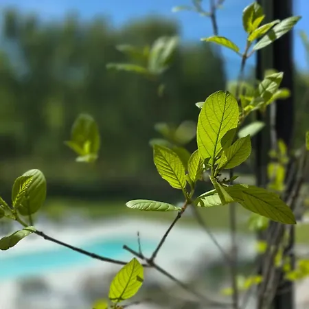 Nova - Dom Nad Morzem, Podgrzewany Basen,sauna, Balia Z Jacuzzi , Starlink * Ulinia