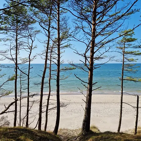 Nova - Dom Nad Morzem, Podgrzewany Basen,sauna, Balia Z Jacuzzi , Starlink Ulinia