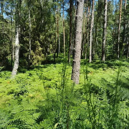 Apartmán Nova - Dom Nad Morzem, Podgrzewany Basen,sauna, Balia Z Jacuzzi , Starlink